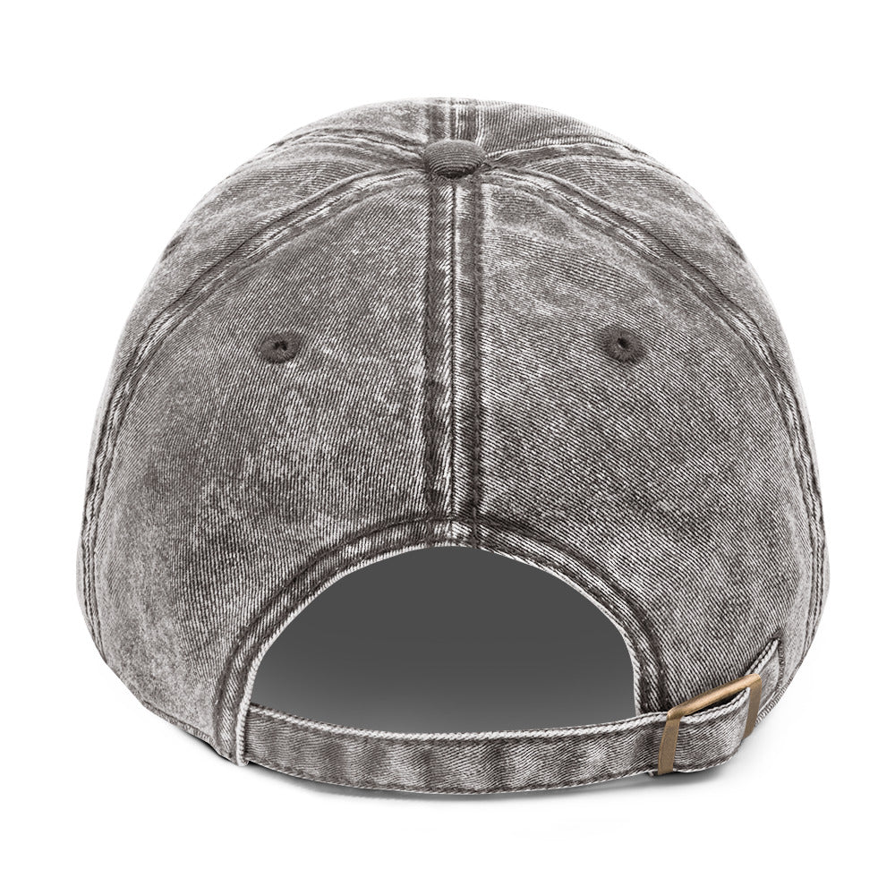 Embroidered "Regulated by Cats" stone-washed gray cap