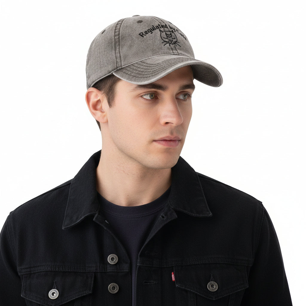 Embroidered "Regulated by Cats" stone-washed gray cap