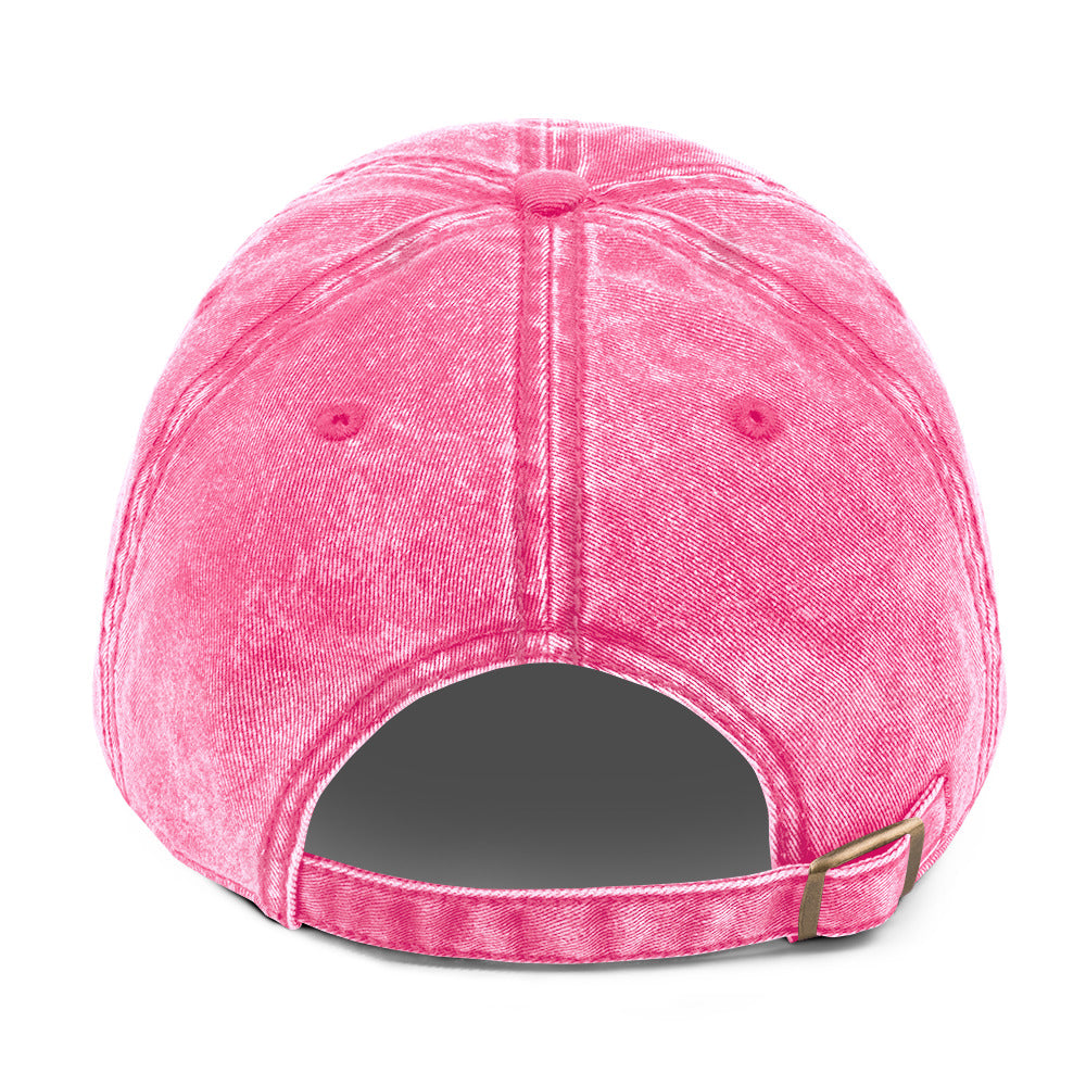 Embroidered "Regulated by Cats" stone-washed pink cap
